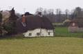 thatch